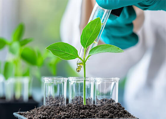 Ci&ecirc;ncias Biol&oacute;gicas