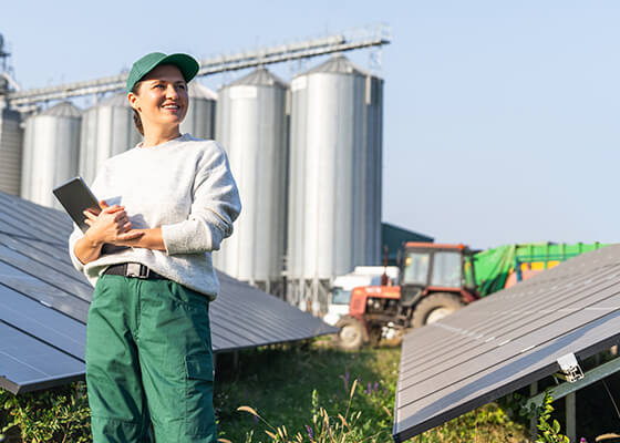 Engenharia Agr&iacute;cola