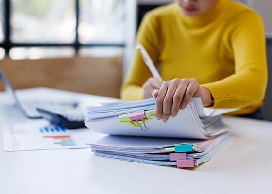 Gest&atilde;o P&uacute;blica