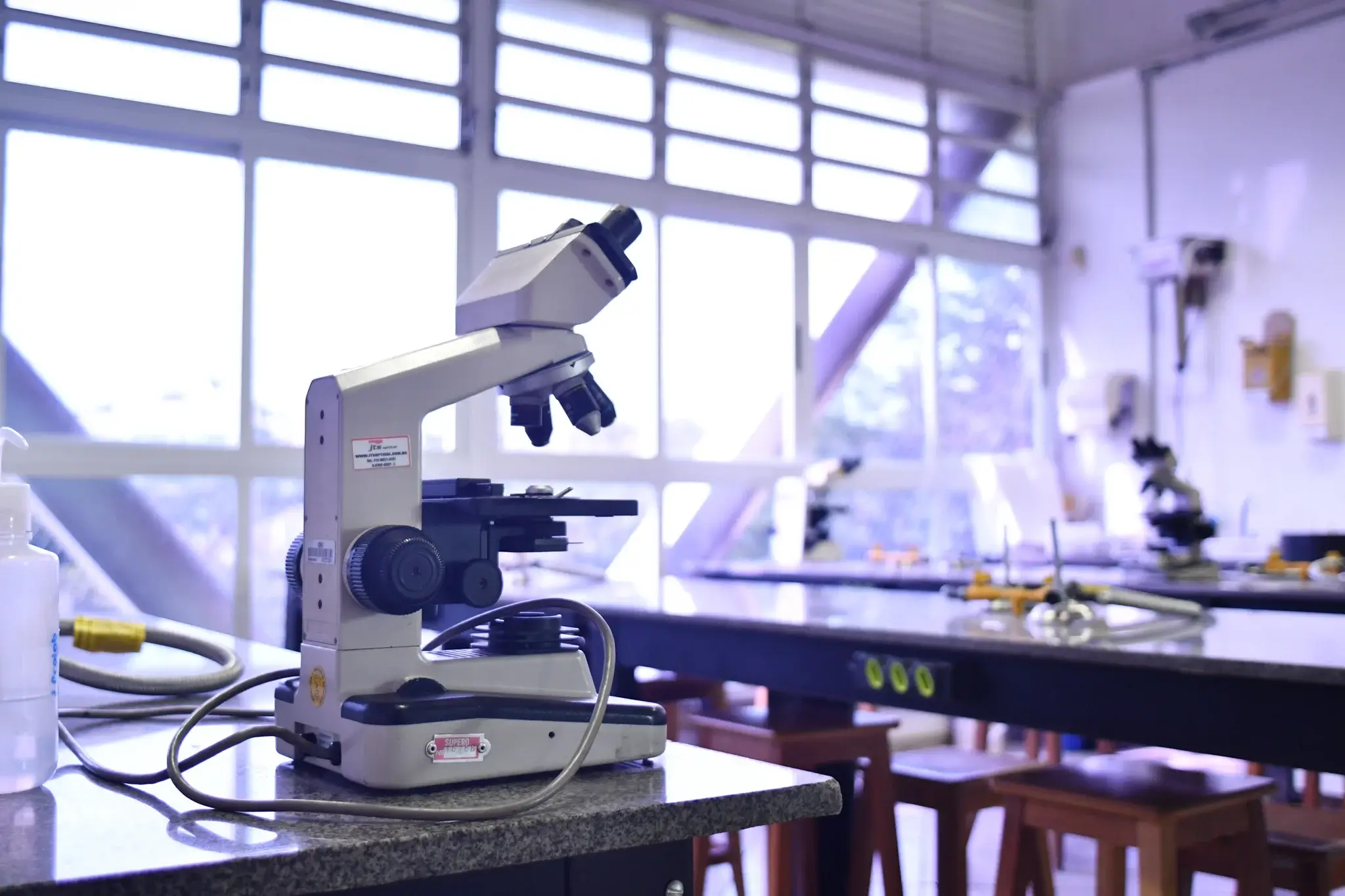 Experi&ecirc;ncia de pesquisa cient&iacute;fica em laborat&oacute;rio