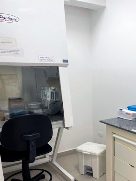 Laborat&oacute;rio de Biologia Molecular e Celular