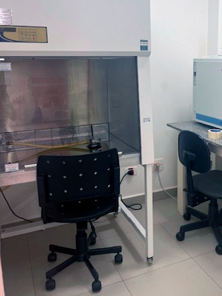 Laborat&oacute;rio de Biologia Molecular e Celular - Agentes Infecciosos