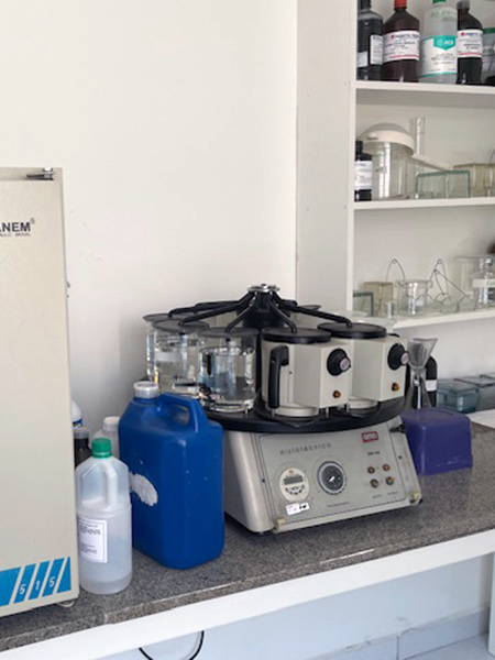 Laborat&oacute;rio de Anatomia Patol&oacute;gica