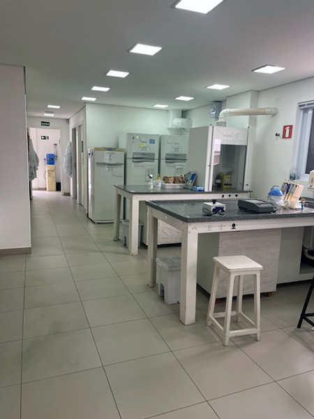 Laborat&oacute;rio de Biologia Molecular e Celular